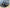 FATZ FABRICATION NP300 NAVARA RH SNORKEL. POLISHED. SUIT 3
