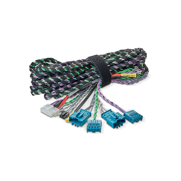 FOCAL Wiring Harnesses For Inside Packs Iw-Bmw-Imp2.1 - IW-BMW-IMP2.1