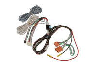 FOCAL Wiring Harnesses For Inside Packs Iw-Imp2.2 - IW-IMP2.2
