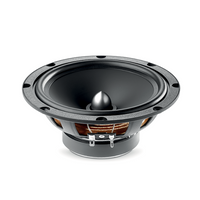 Focal Ase 165Auditor Evo 6-1/2