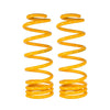 XGS COIL SPRINGS REAR RAISED 150KG (PAIR) FOR  LANDROVER DEFENDER 90-110-130 09/07-01/16 /  LANDROVER DEFENDER 90-110-130 03/92-08/07