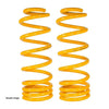 XGS COIL SPRINGS REAR RAISED 150KG / 200KG (PAIR) FOR  MITSUBISHI PAJERO