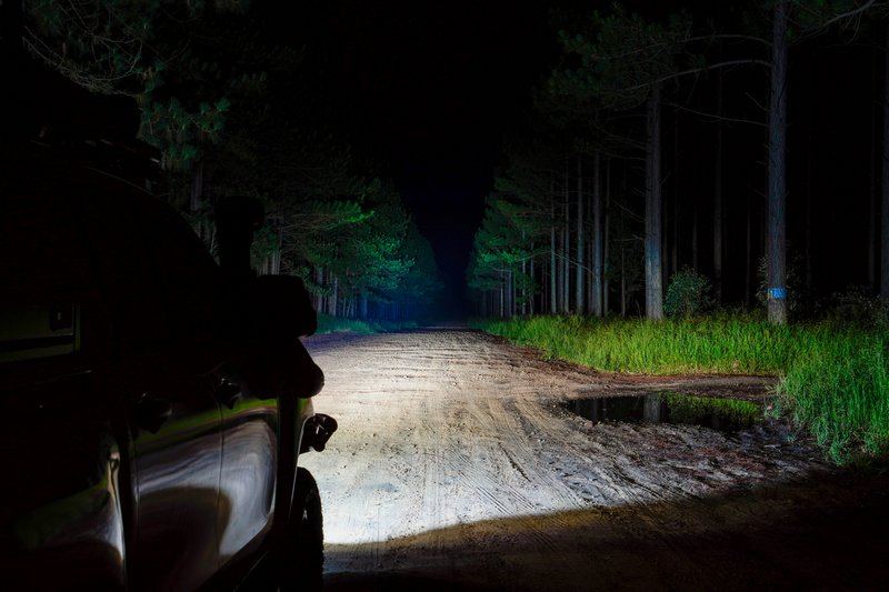 LIGHTFORCE Viper 50" Single Row Light Bar - LFLB50S