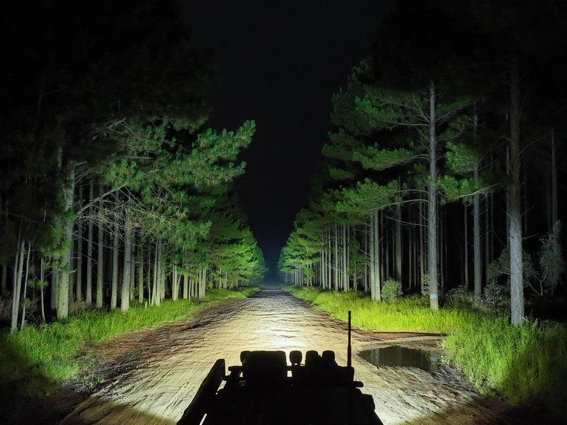 LIGHTFORCE Viper 50" Single Row Light Bar - LFLB50S