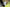 CLEARVIEW RAW NEXT GEN TOWING MIRRORS OAT SENSOR, INDICATORS, ELECTRIC FORD RANGER | MAR 2023 (MY23.5) ON-CVNG-FD-RE22-TIEX