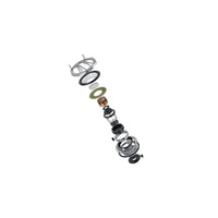 AUDISON Thesis Line - 3.0